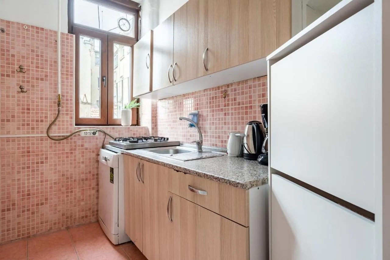 イスタンブールChic Taksim Flat 1 Min To Istiklal Aveアパートメント アパート